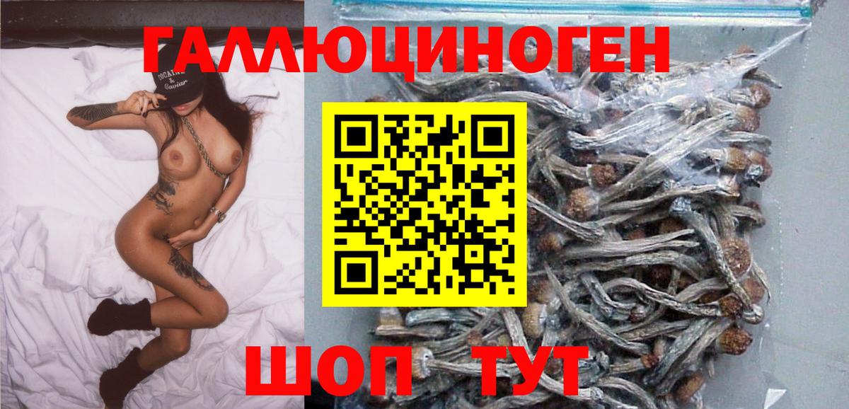 Мурманск  Псилоцибиновые грибы Psilocybe  Вход с VPN  Галлюциногенные грибы Psilocybe 
